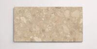 A single beige terrazzo marble tile with various sized aggregates throughout
