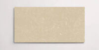 A single beige terrazzo marble tile